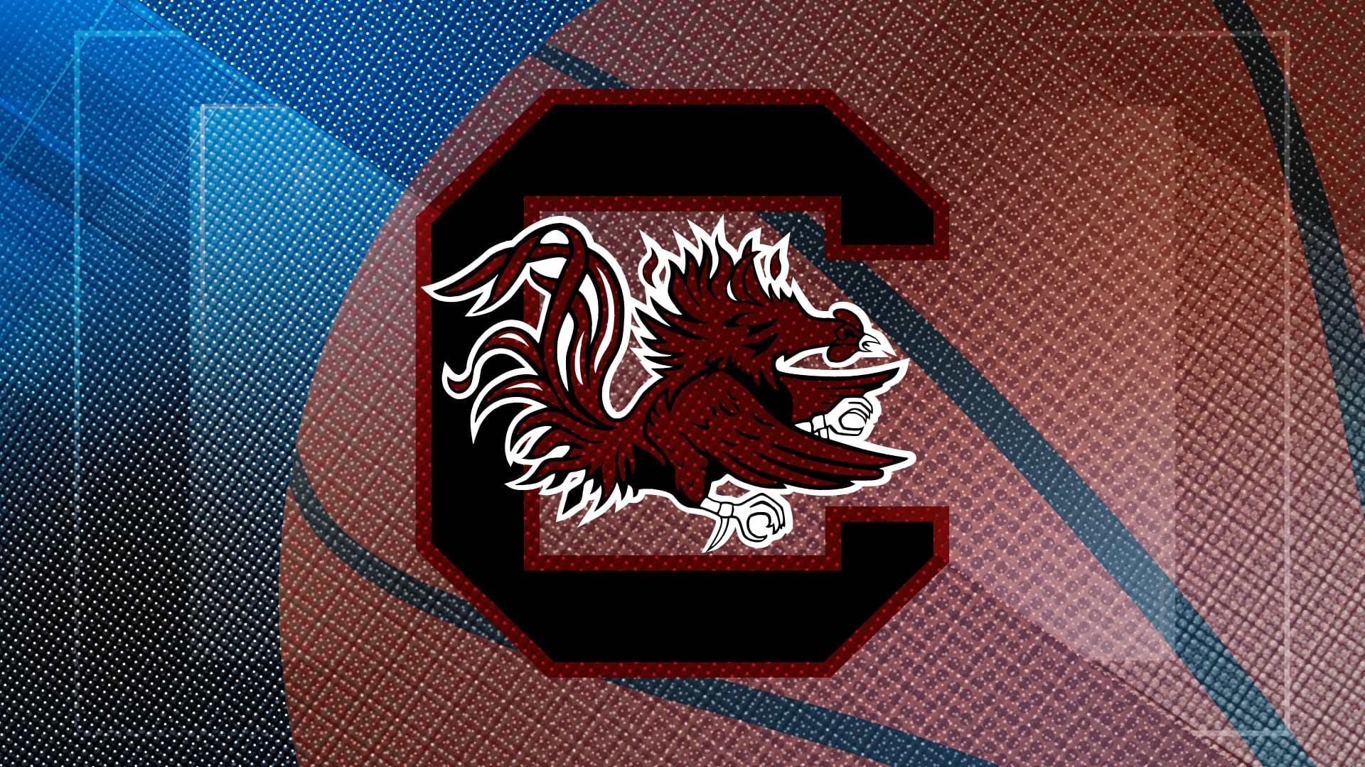 No. 1 South Carolina Defeats Benedict 113-34 in Exhibition