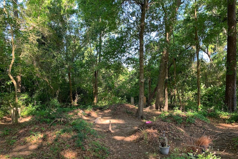 Honey Hill Cemetery before the City of Charleston cleared up the overgrown grass and trees.