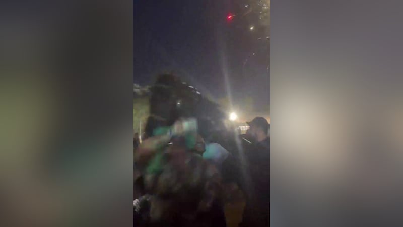 Several people were injured after a stampede of horses suddenly charged through part of the...