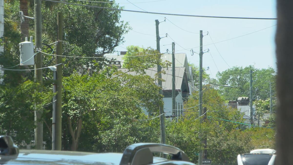 Dominion Energy Removes Hazardous Palmetto Trees in Charleston