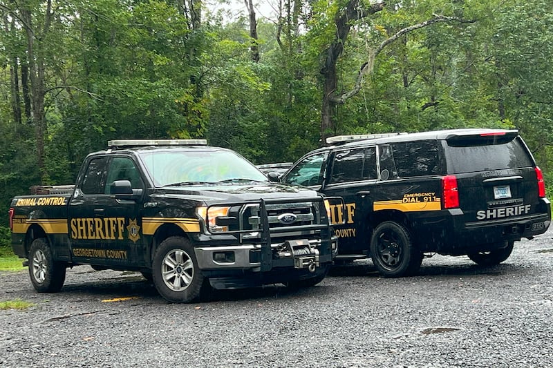 Coroner: Remains found belonged to Mt. Pleasant man who went missing in ...