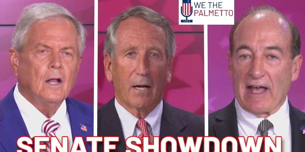 We The Palmetto: Senate candidates making their final pitch to voters