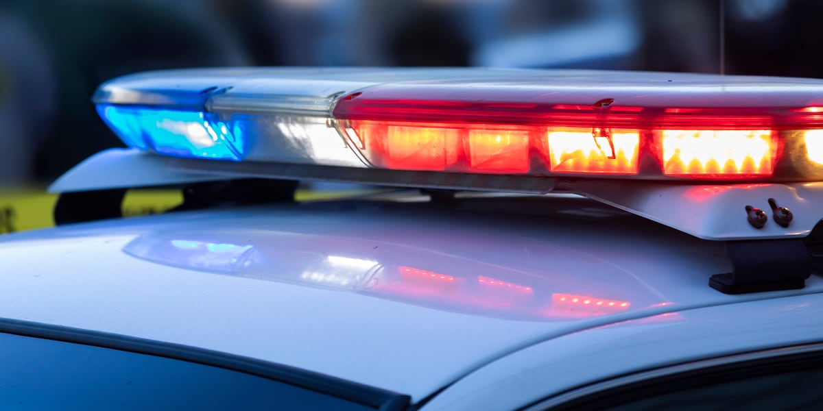 Orangeburg crime drops overall, but domestic violence calls surge