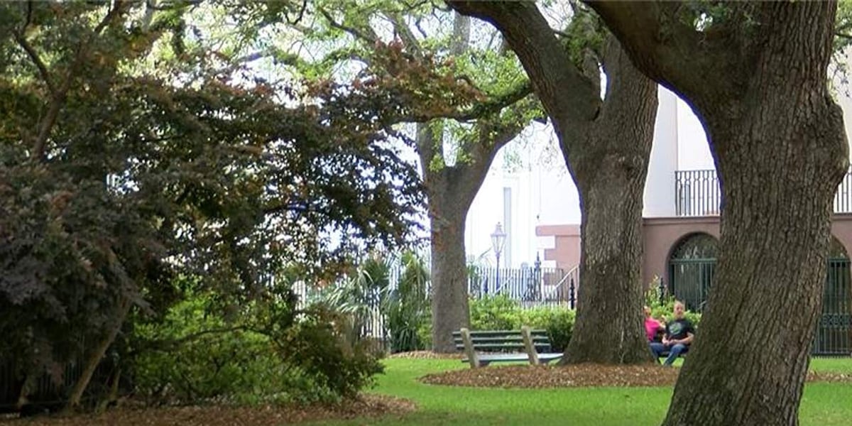 City of Charleston launches the first-ever environmental corridor in Southeast City of Charleston launches the first-ever environmental corridor in Southeast