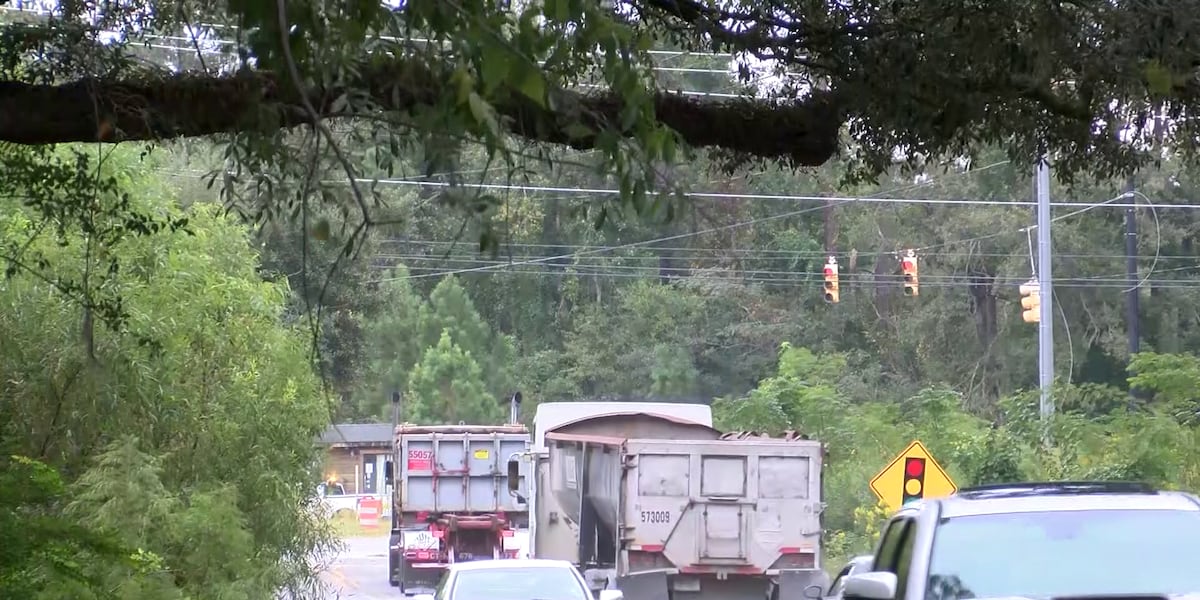 Lowcountry Residents Concerned Low hanging Tree Branches Could Cause Crash lowcountry-residents-concerned-low-hanging-tree-branches-could-cause-crash