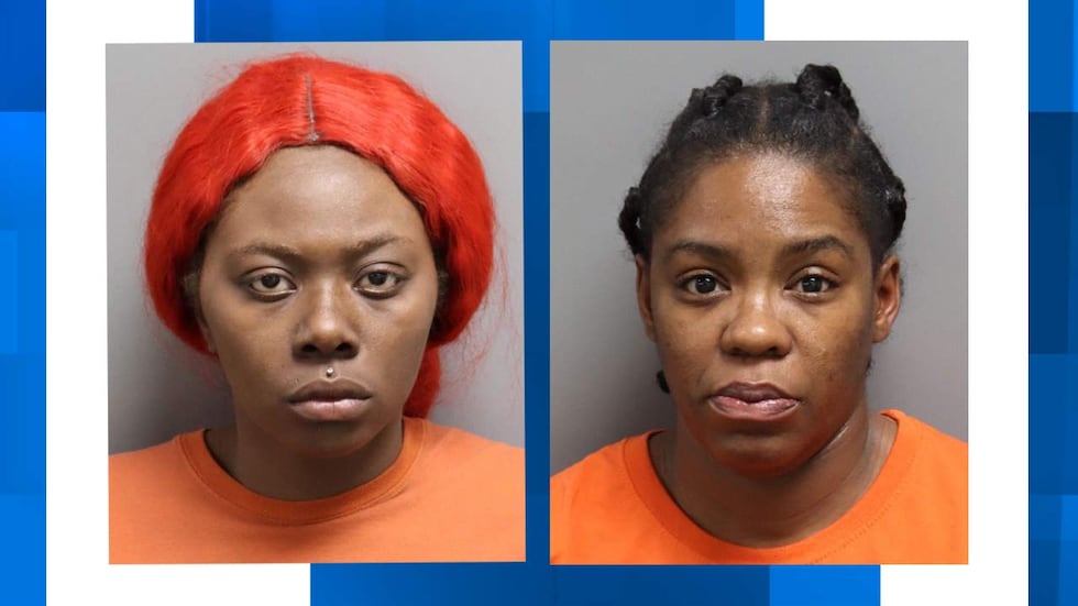 Strong Robber 2 arrested in connection to strong-arm robbery and assault in North ...