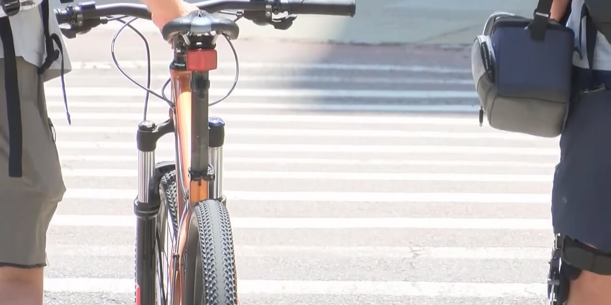 700 Crosswalk project ribbon-cutting marks completion of Lowcountry pedestrian safety upgrades
