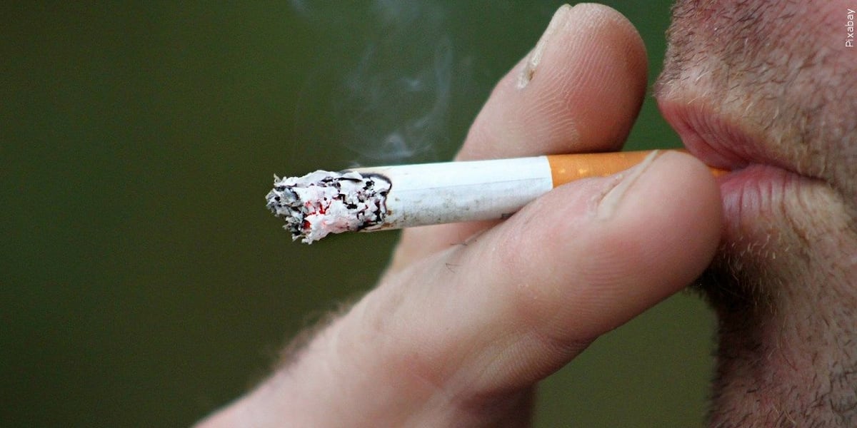 can players chew tobacco in the mlb City Council spit take: Move on MLB chewing tobacco a lot to swallow – Chicago Tribune can players chew tobacco in the mlb City Council spit take: Move on MLB chewing tobacco a lot to swallow – Chicago Tribune