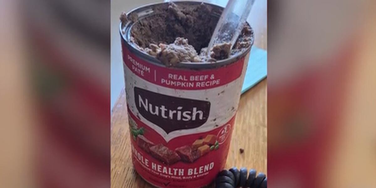 Mom says school staff fed her autistic son dog food for lunch