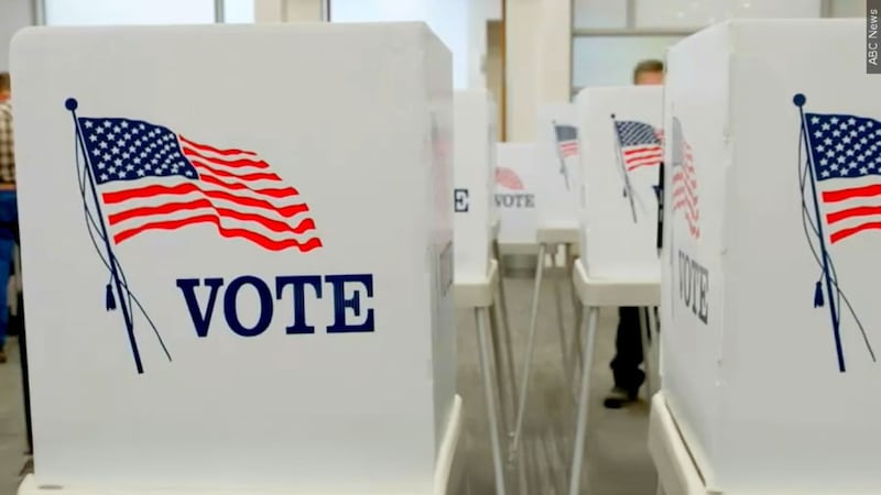 The deputy executive director for the South Carolina Elections Commission has been fired amid...