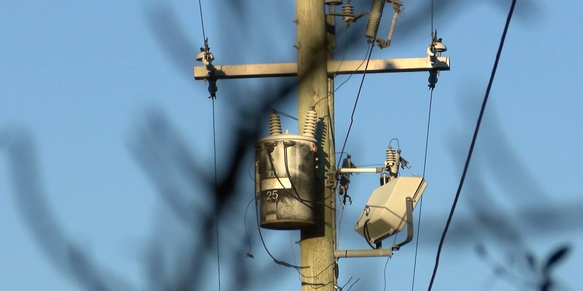 Dominion Energy holds workshop downtown to discuss upcoming tree trimming project