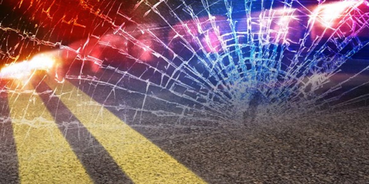 2 killed, 1 injured in single-vehicle collision near Bluffton