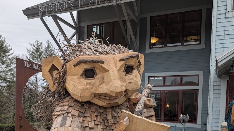 Cayce to hold special-called meeting over proposed $355K public art installation