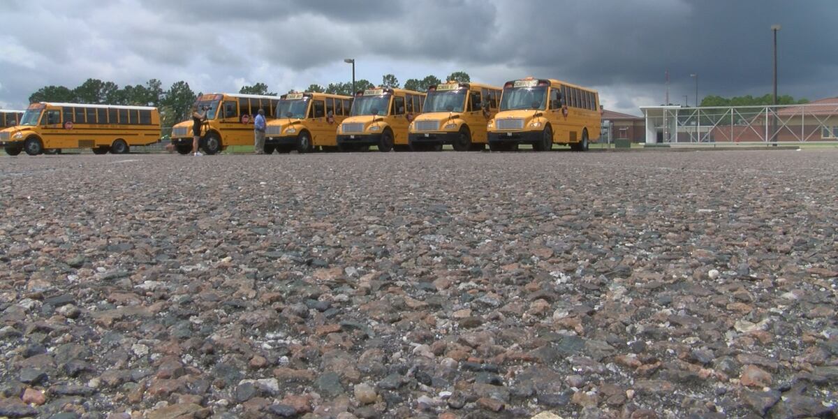 Berkeley Co. schools offering incentives for new bus drivers