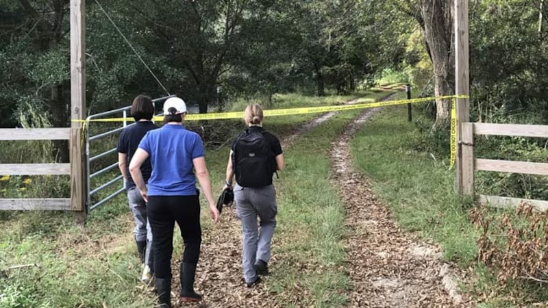 The Charleston County Sheriff's Office is investigating after a property owner found a body in...