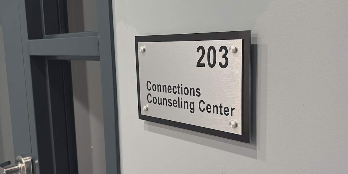 Lawmakers, therapists sound the alarm on AI therapists