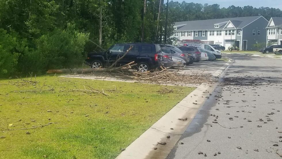 Live 5 First Alert Meteorologist Dorien Minor shot this image of a large tree limb that struck...