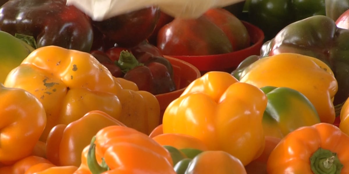 Help to replace stolen SNAP benefits could soon end Help to replace stolen SNAP benefits could soon end