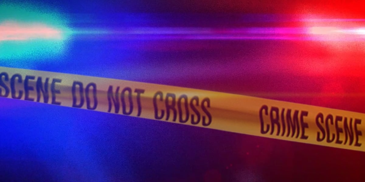 Ohio murder suspect arrested in Orangeburg County
