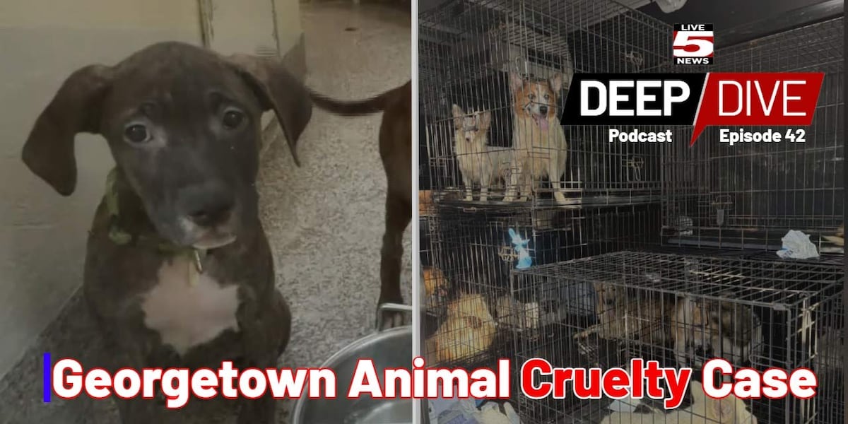 Deep Dive: Hundreds of dogs found in unlivable conditions