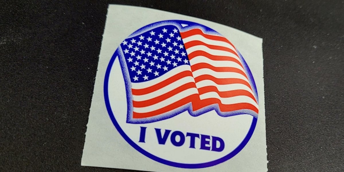 Early voting officially closes in SC Senate primary