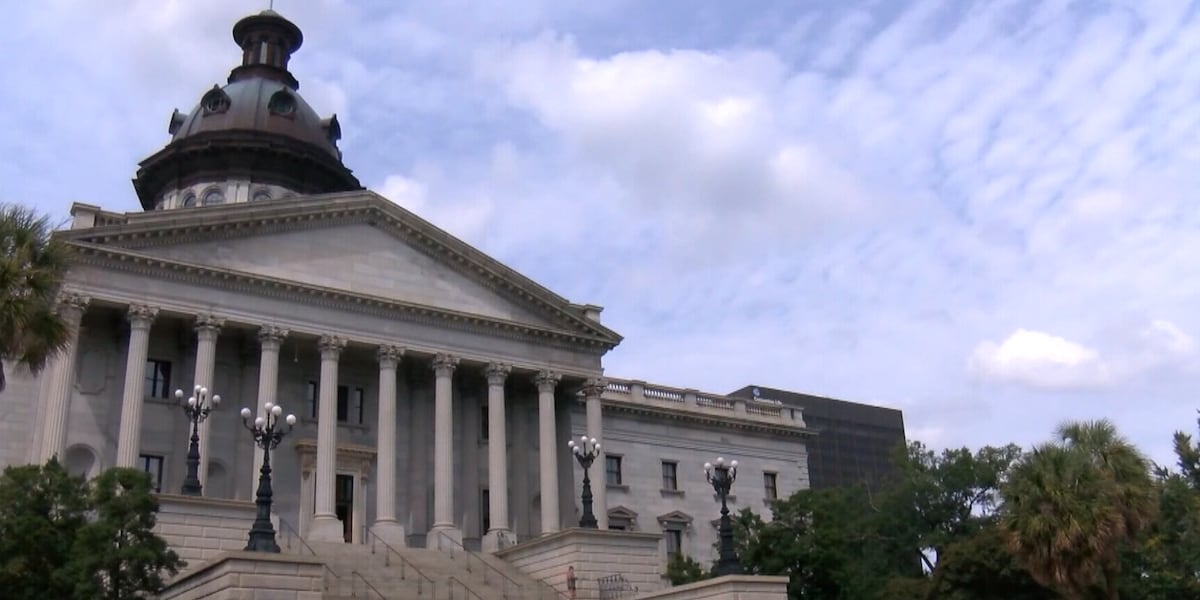 SC House passes bill to cut property taxes for small businesses SC House passes bill to cut property taxes for small businesses