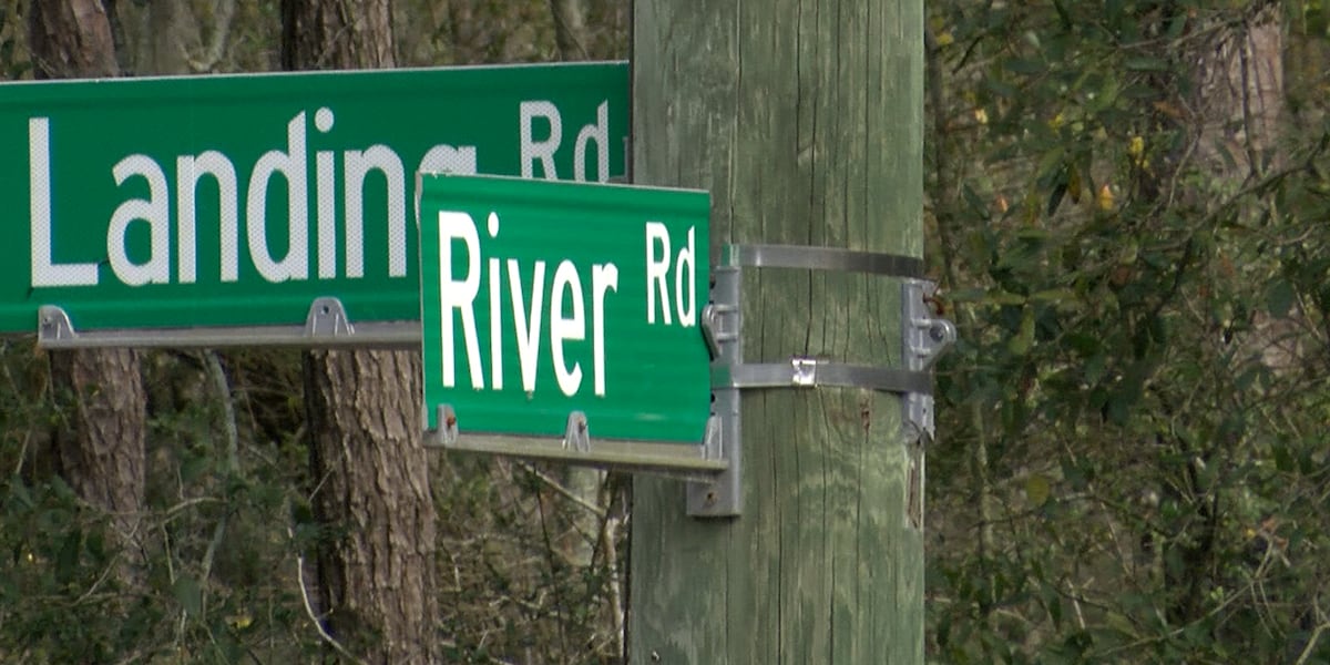 Island grows, forest shrinks: Johns Island townhome project sparks tree debate