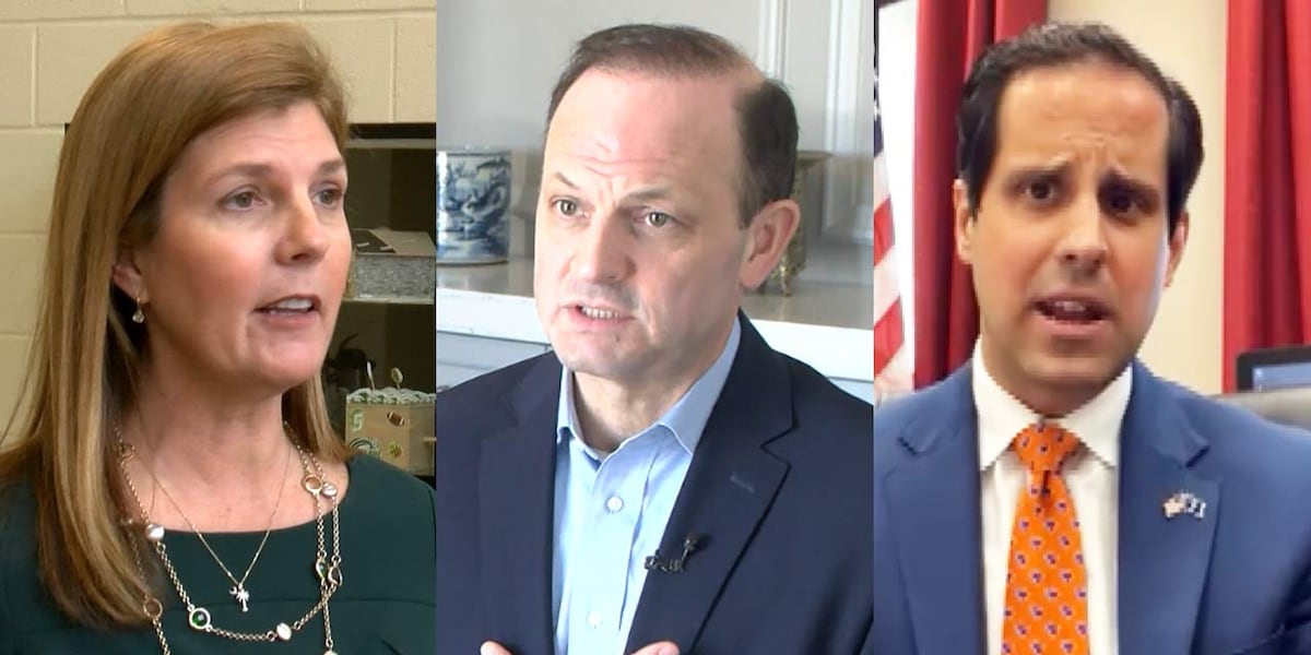 South Carolina governor’s race promises crowded primary