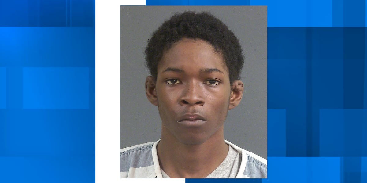 Man arrested on 12 charges in West Ashley crime spree