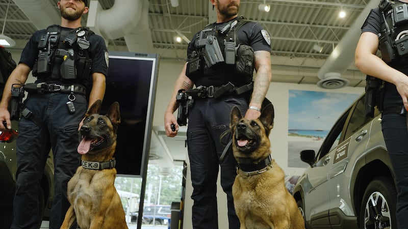 Donations will be matched to protect North Charleston K9 Officers!