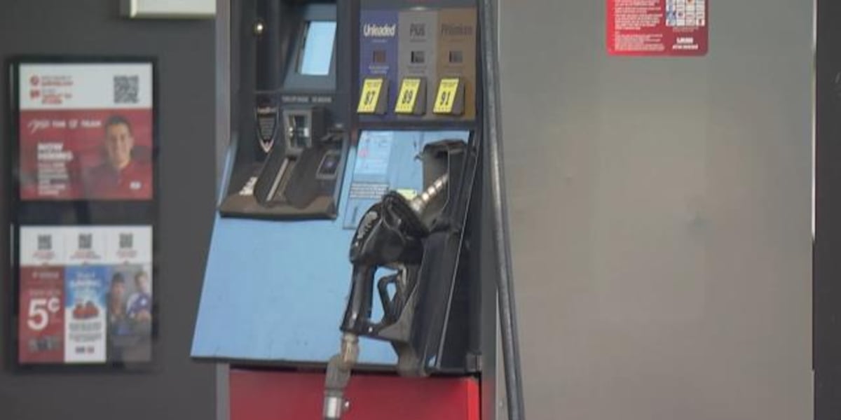 Gas prices hold steady both in South Carolina and across America