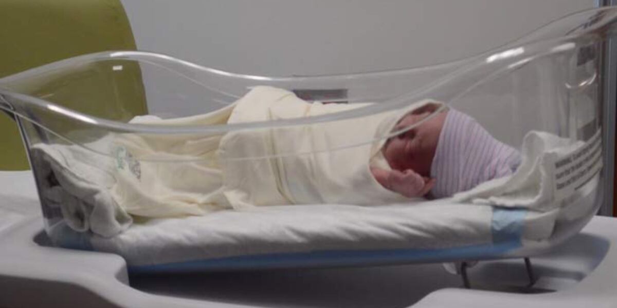 Sc Babynet SC babies born on May 29 eligible to receive $529 for college savings