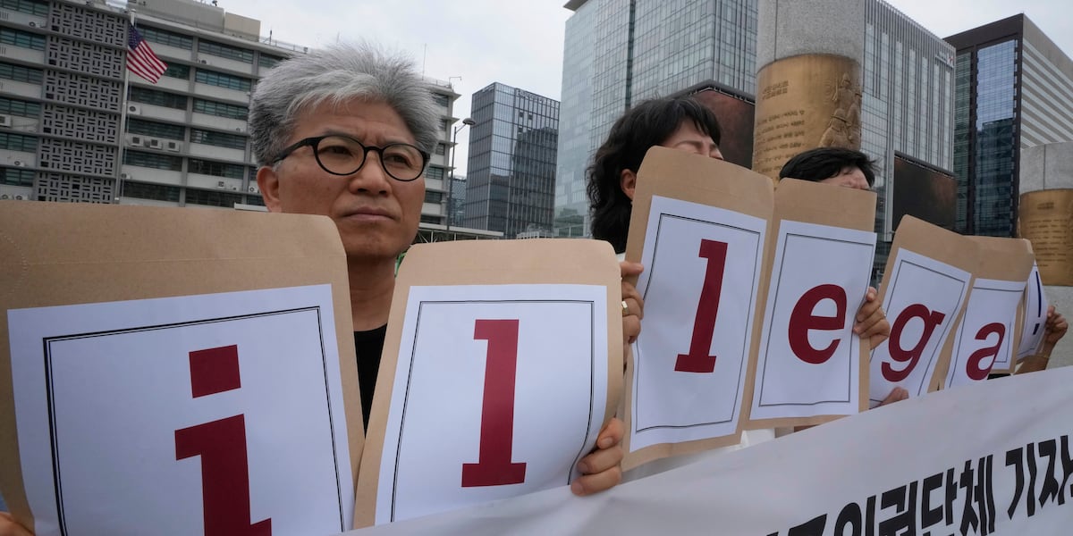 Why Did South Korea Send a Plane to Rescue Workers Detained in a US Immigration Raid?