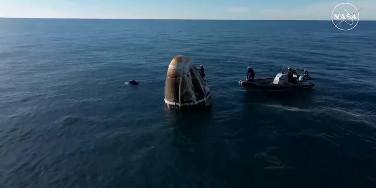 Spaceex Pod Pod of dolphins surround SpaceX capsule after stranded astronauts ...