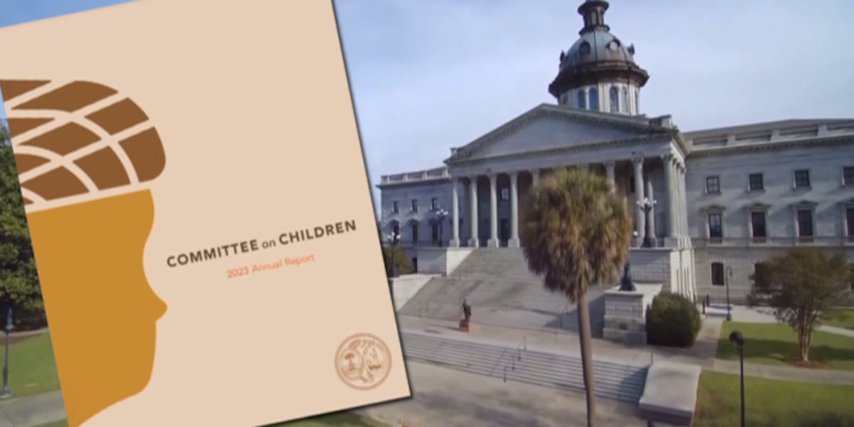 Children Committee Bipartisan committee unveils recommendations on improving SC for its ...
