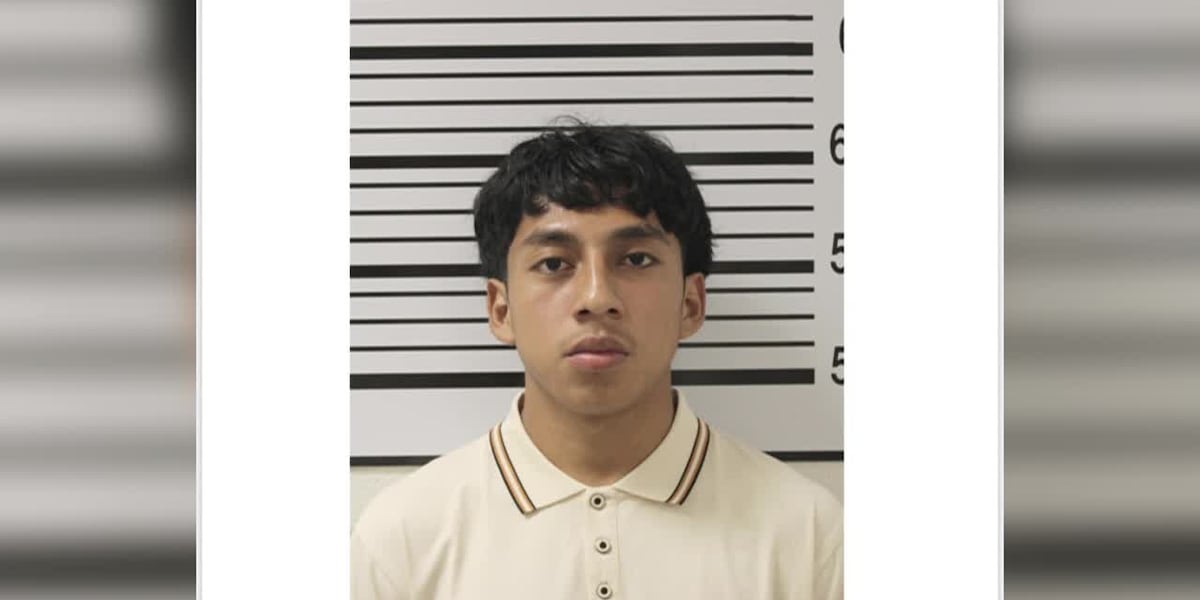Could a Simple Traffic Stop Lead to Federal Immigration Detention for a High School Student?