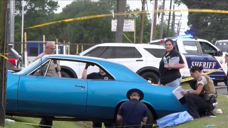 At least 15 people were hurt on Saturday in southern Louisiana after a car drove through a...