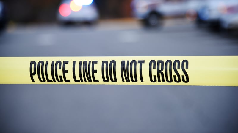 Mount Pleasant police responded to a disturbance early Saturday morning and found a person...