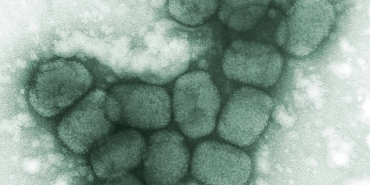 Lab worker discovers vials labeled ‘Smallpox’ in Pennsylvania facility