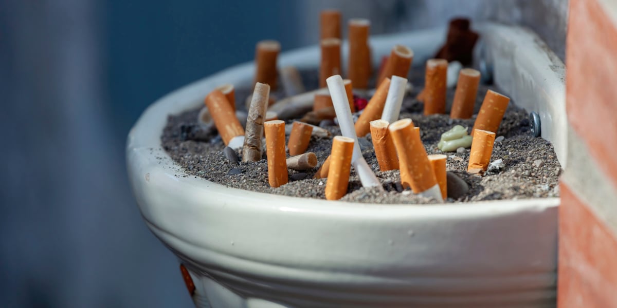 price of cigarettes in nigeria jumia How Nigeria's online stores flout country's tobacco control law price of cigarettes in nigeria jumia How Nigeria's online stores flout country's tobacco control law