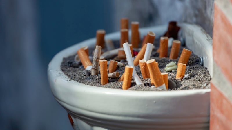 cage the elephant cigarette daydreams guitar chords Cigarette Daydreams Guitar Tutorial: Strumming Patterns cage the elephant cigarette daydreams guitar chords Cigarette Daydreams Guitar Tutorial: Strumming Patterns