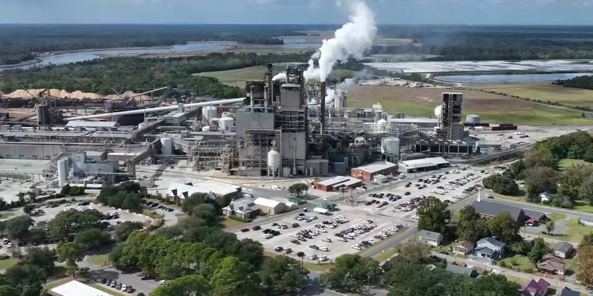 Paper mill releases statement on ‘acute odor’ in Georgetown