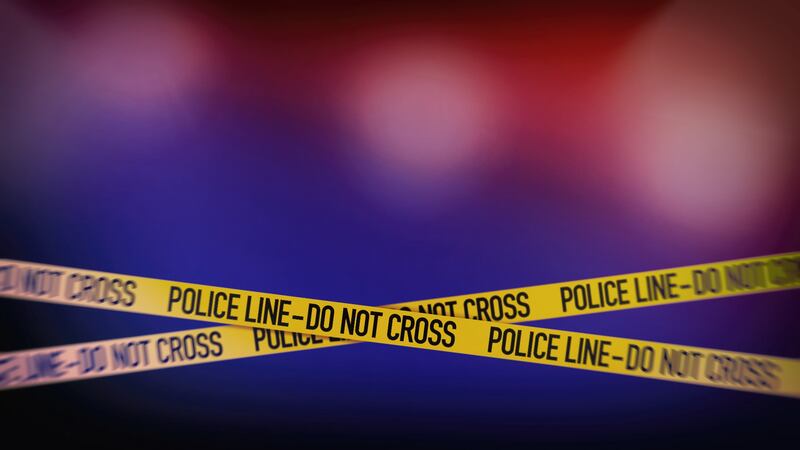 The Charleston Police Department says both them and the Charleston County Sheriff’s Office...