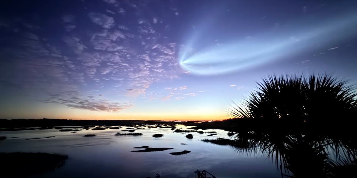 SpaceX Falcon 9 Launch Stuns Observers With Morning 'Jellyfish' Display