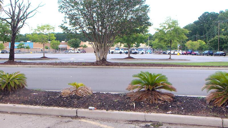 New details have been released in an officer-involved shooting that happened at a North...