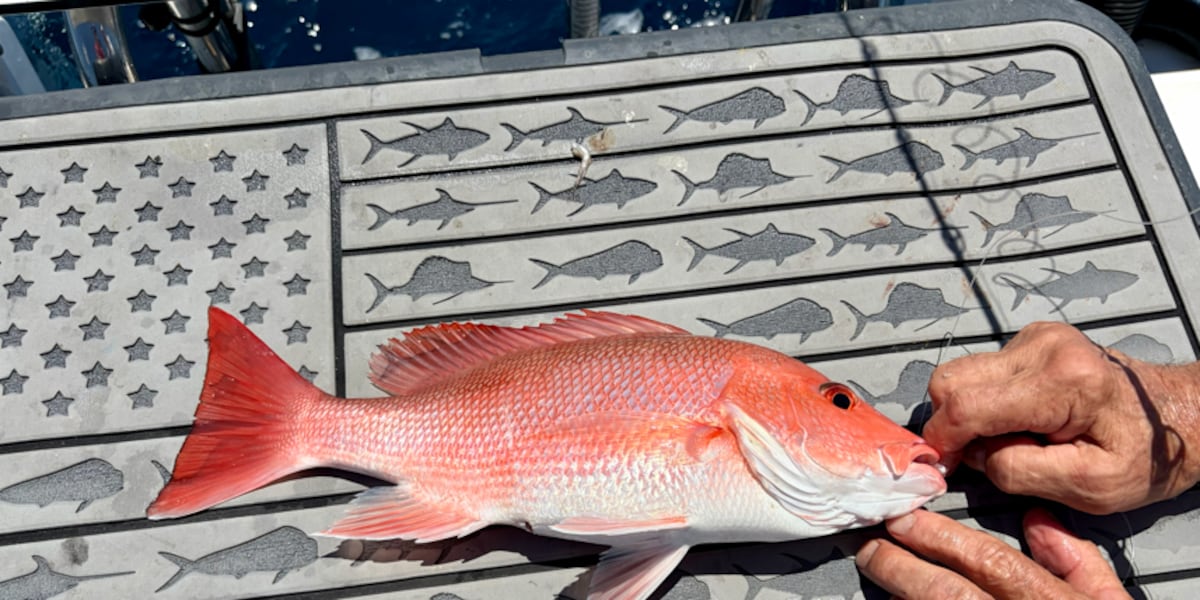 South Carolina's expanded red snapper season paused after federal court order