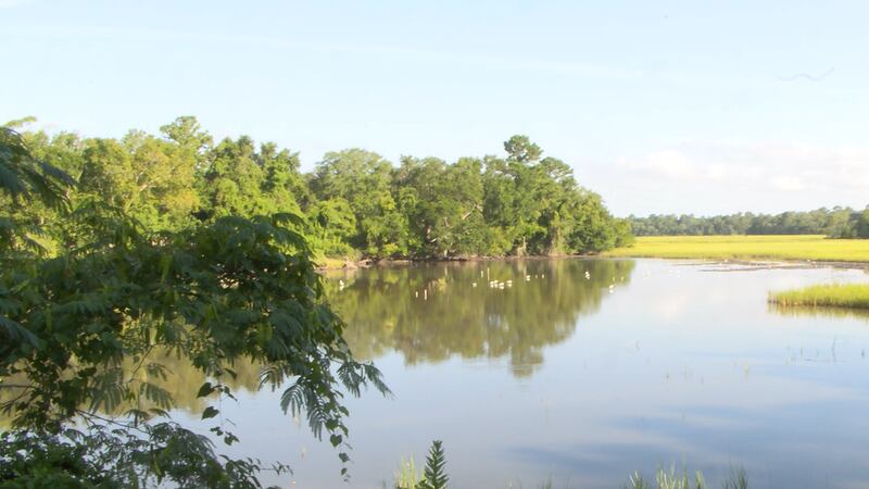 With Charleston’s rapid development putting an increasing strain on area waterways,...