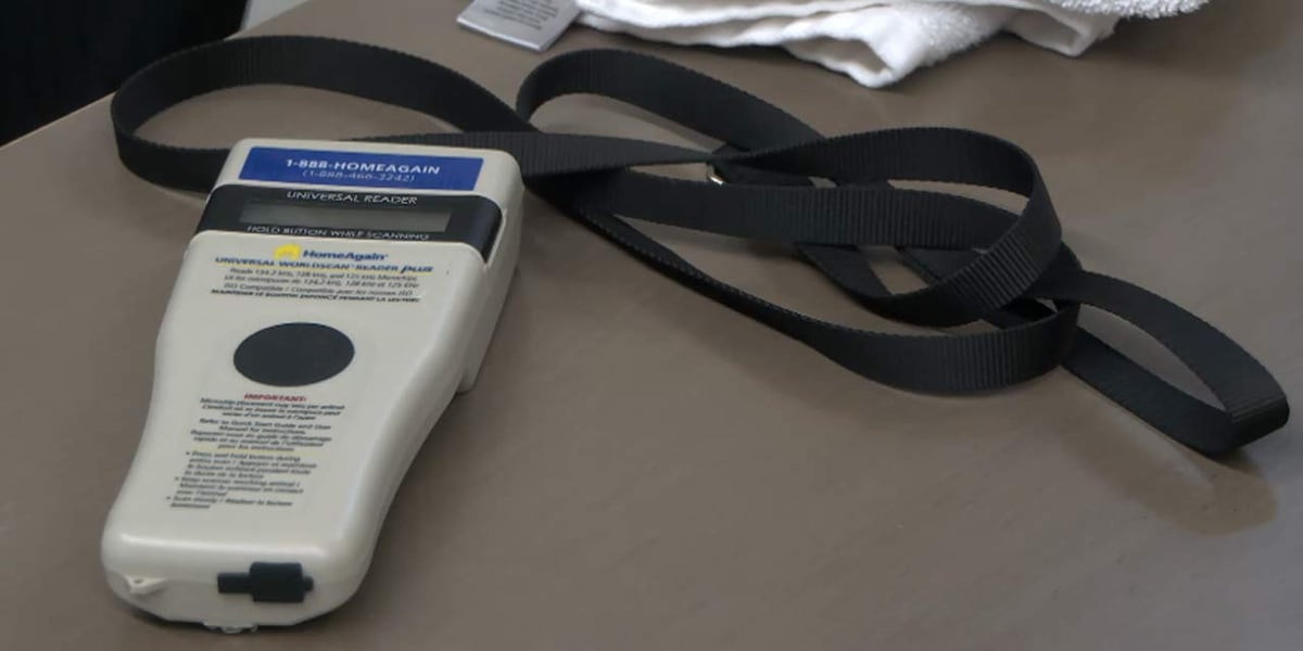 Berkeley County to invest $15,000 in community pet microchip scanner ...