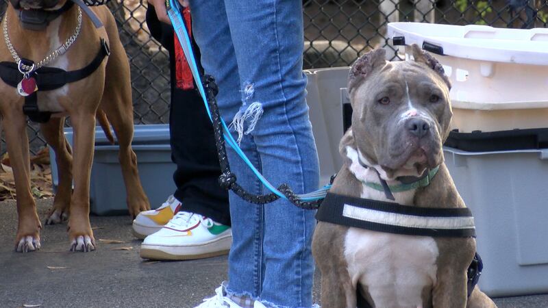 Pet supply prices continue to increase, and a local animal shelter hopes to lend a helping hand.