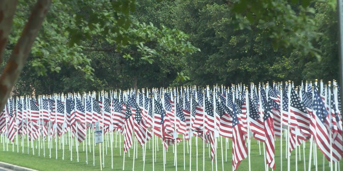 ‘Everybody’s got a hero’: Daniel Island field of flags honors veterans and heroes
